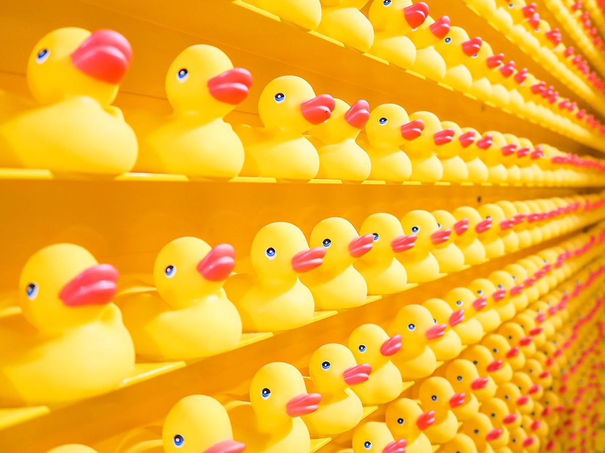 Rows and rows of yellow rubber ducks lined up on shelves.