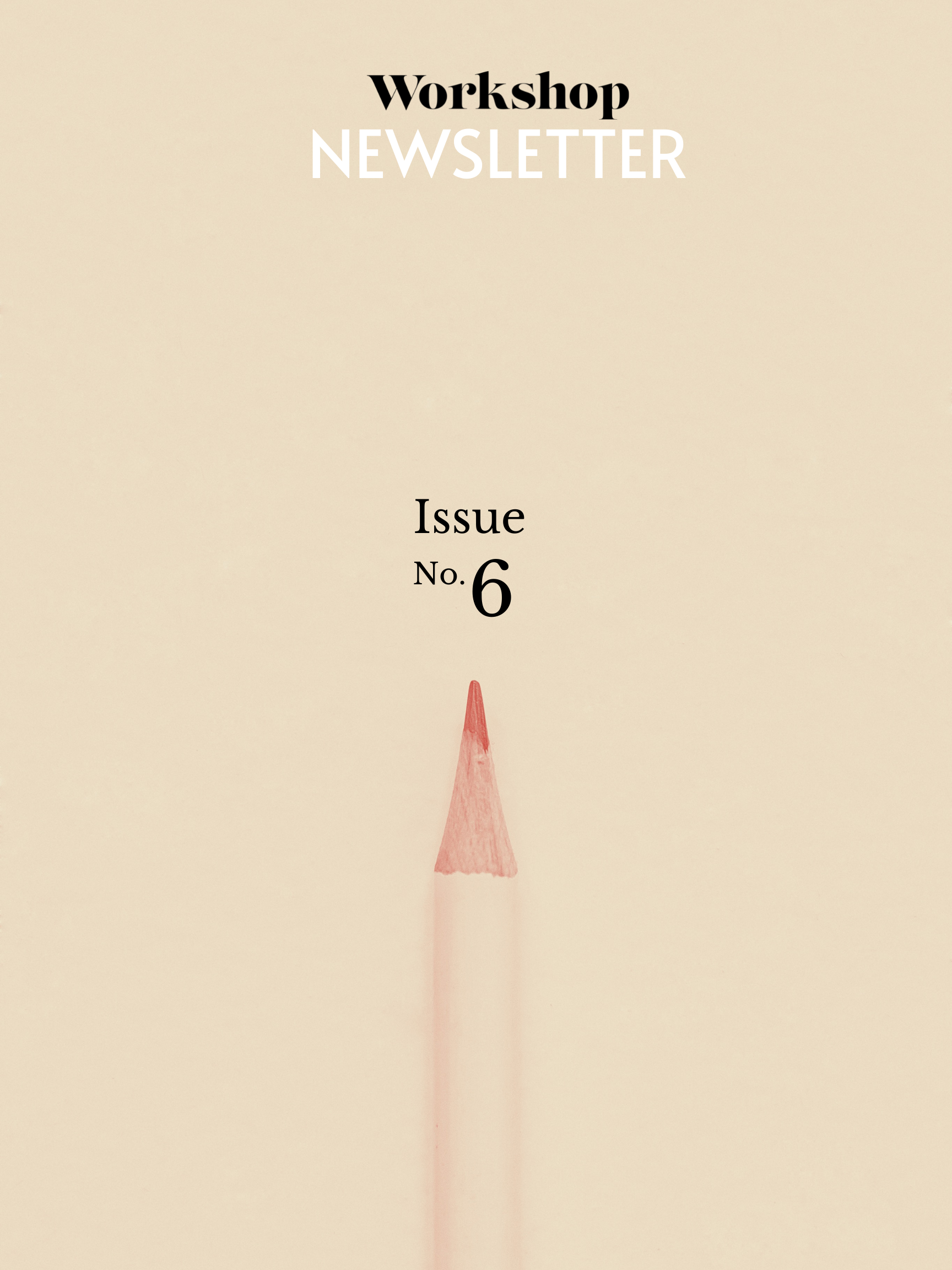 A pencil on a plain background. Text reads: Workshop Newsletter Issue No. 6