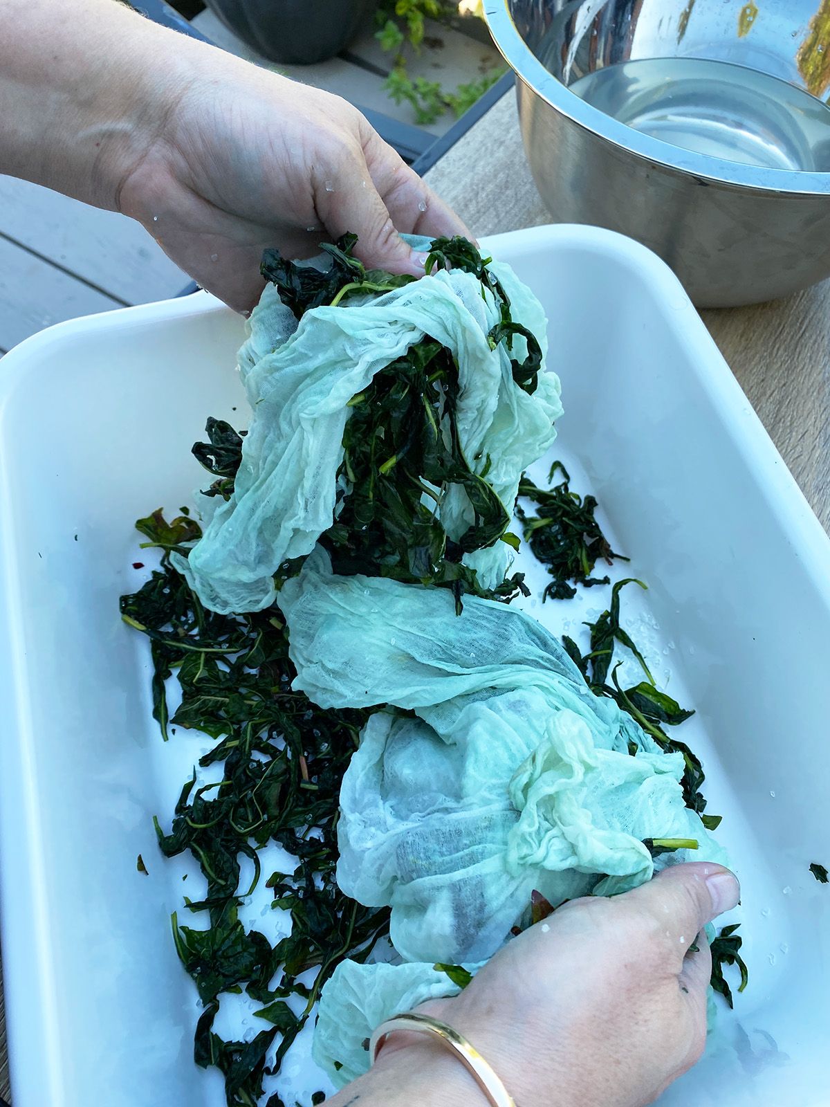 Two hands massaging a piece of cotton fabric with salt and fresh indigo leaves inside a white basin
