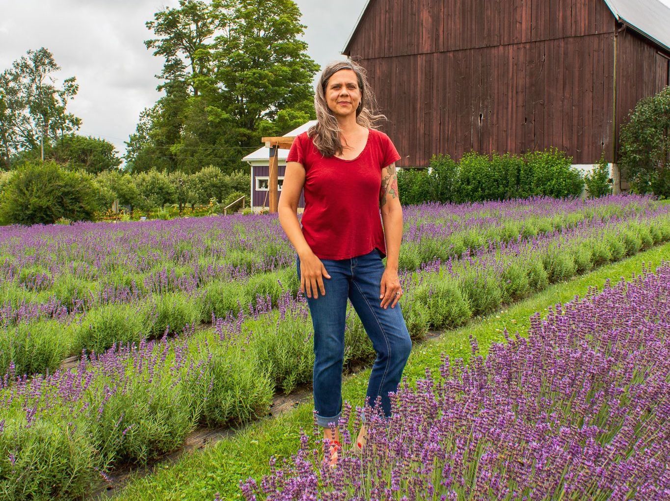 Melissa Schooley standing amidst flowering lavender with her barn in the background