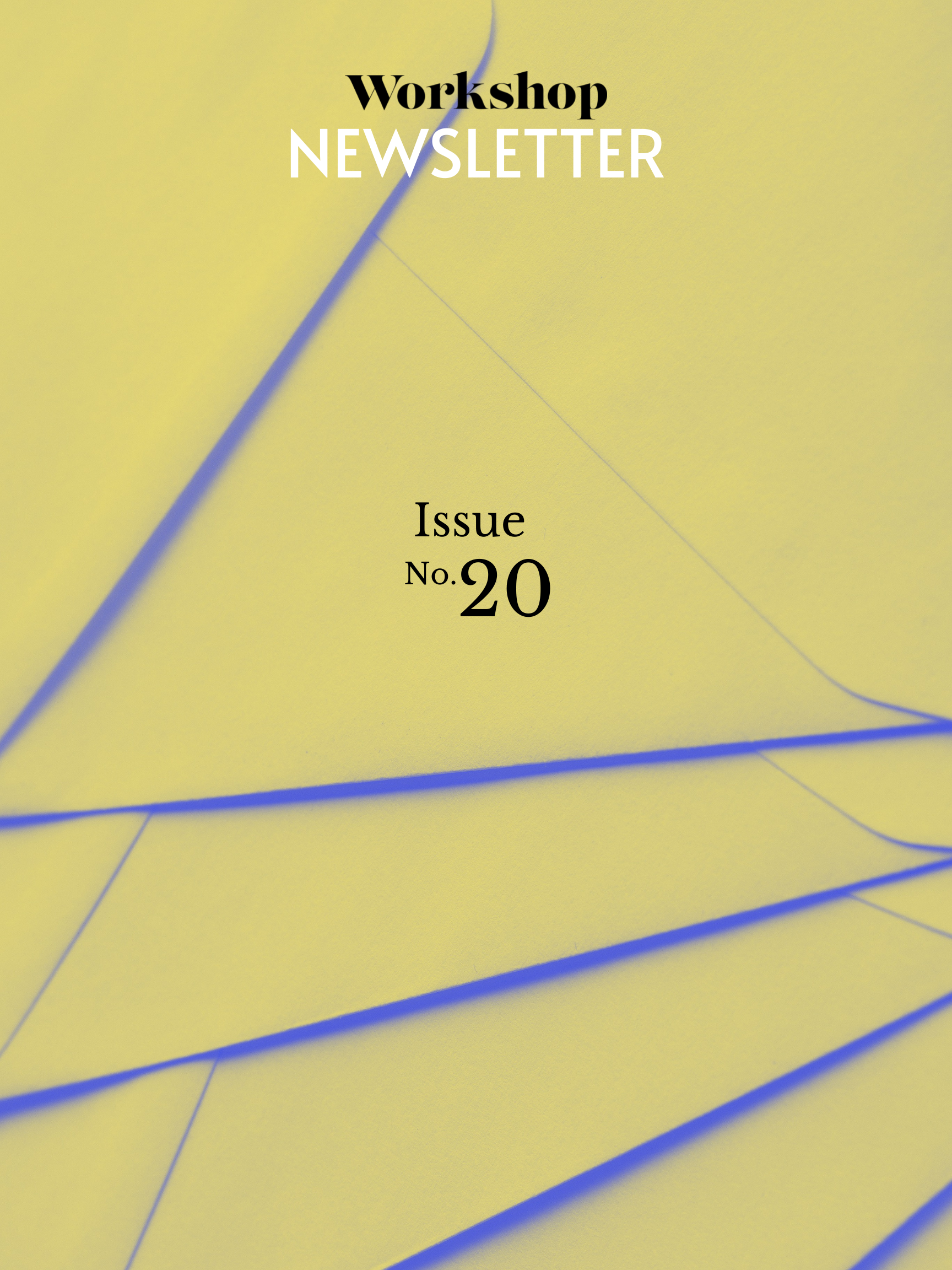 Workshop newsletter: Issue No. 20