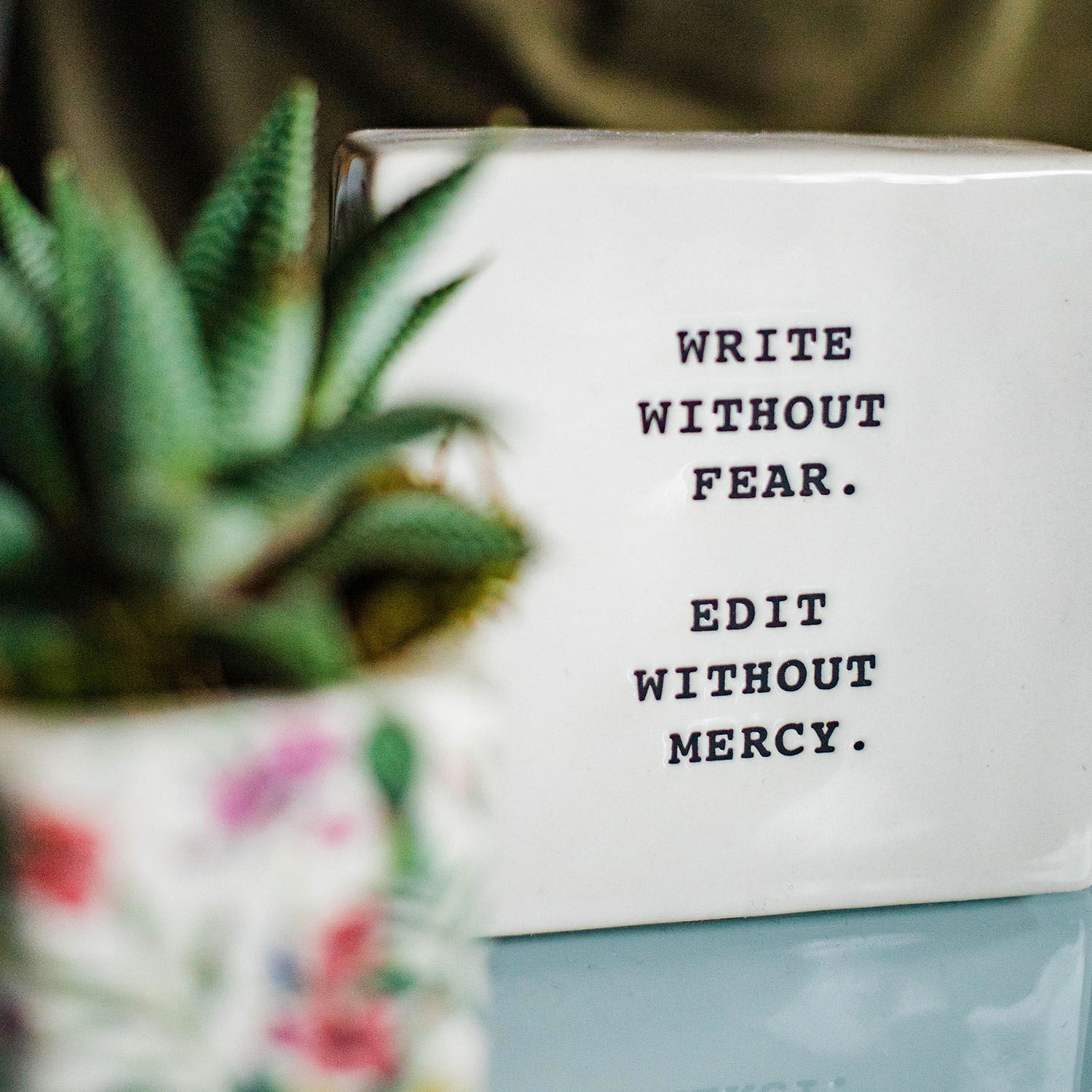 A ceramic sign reading "write without fear. edit without mercy" with a potted succulent in front 