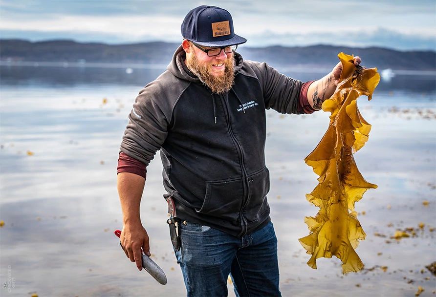 Justin Clarke of Uasau Soap holding a large piece of seaweed and a harvesting tool