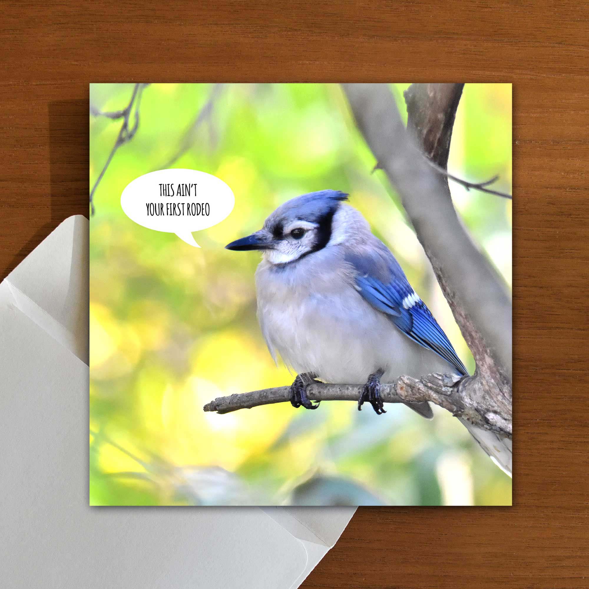 A greeting card with a photo of a bird and a speech bubble saying "This ain't your first rodeo"