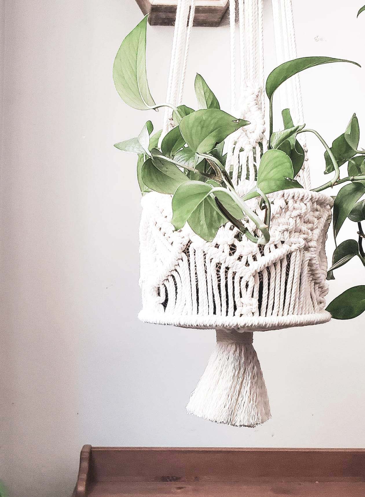 A white macrame plant hanger with a pothos plant inside