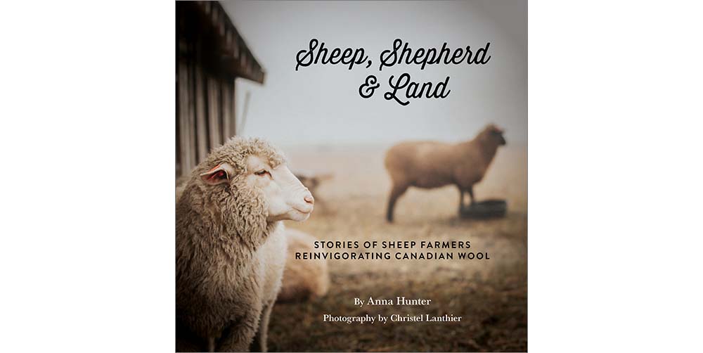 Cover image of the book Sheep, Shepherd & Land